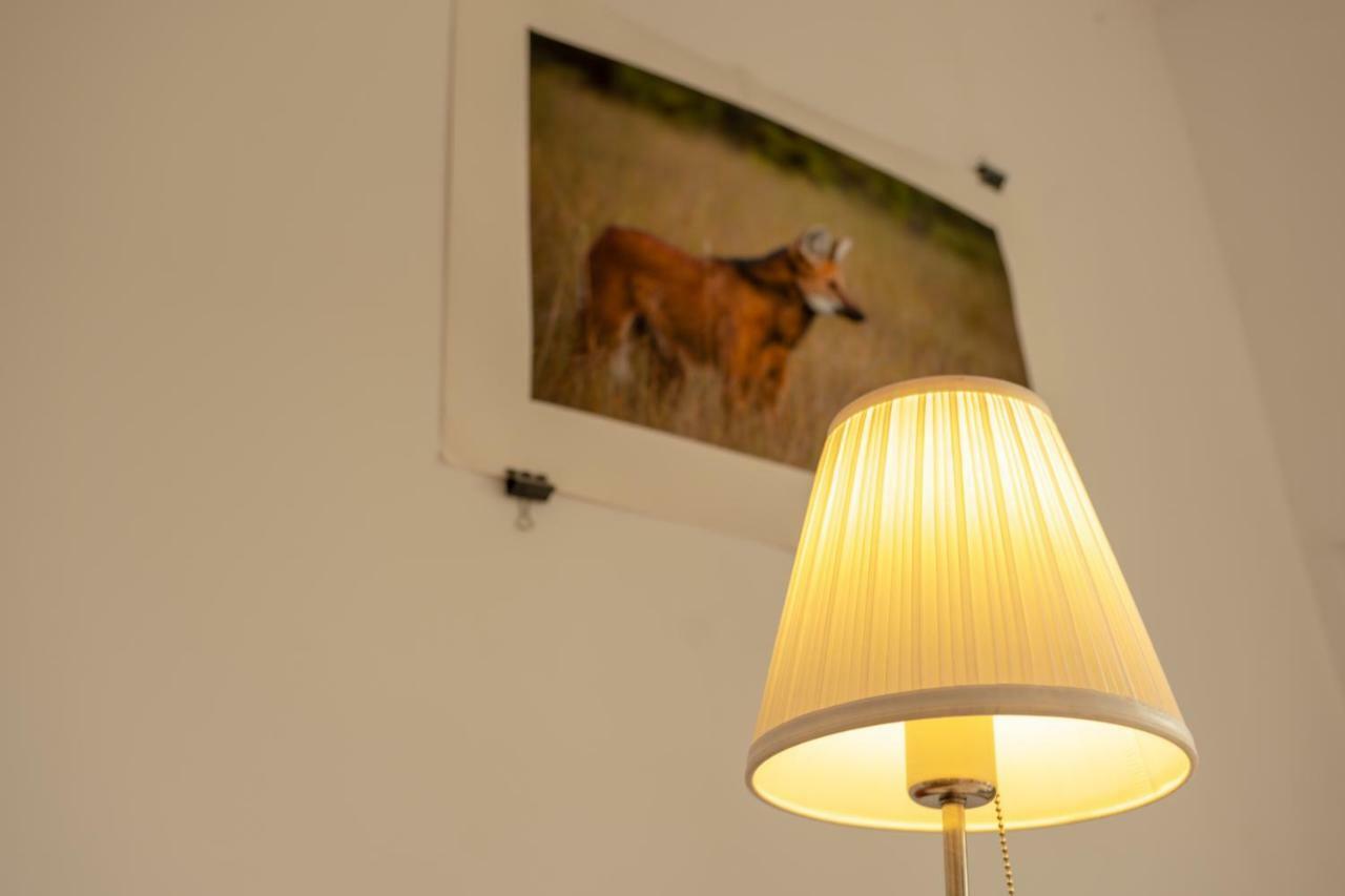 The Studio Apartment Sibiu Exterior photo